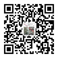 点火针_点火电极-宝应县汇星电子陶瓷有限公司